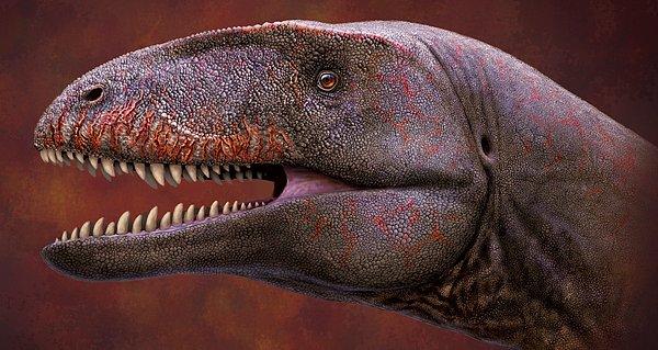 7. “Köpekbalığı dişli” bir dinozorun rakibi olan dinozorlardan daha büyük olduğu belirlendi.