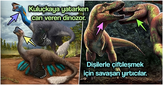 2021’de Dinozorlarla İlgili Yapılan En İlginç ve Büyüleyici Keşifler