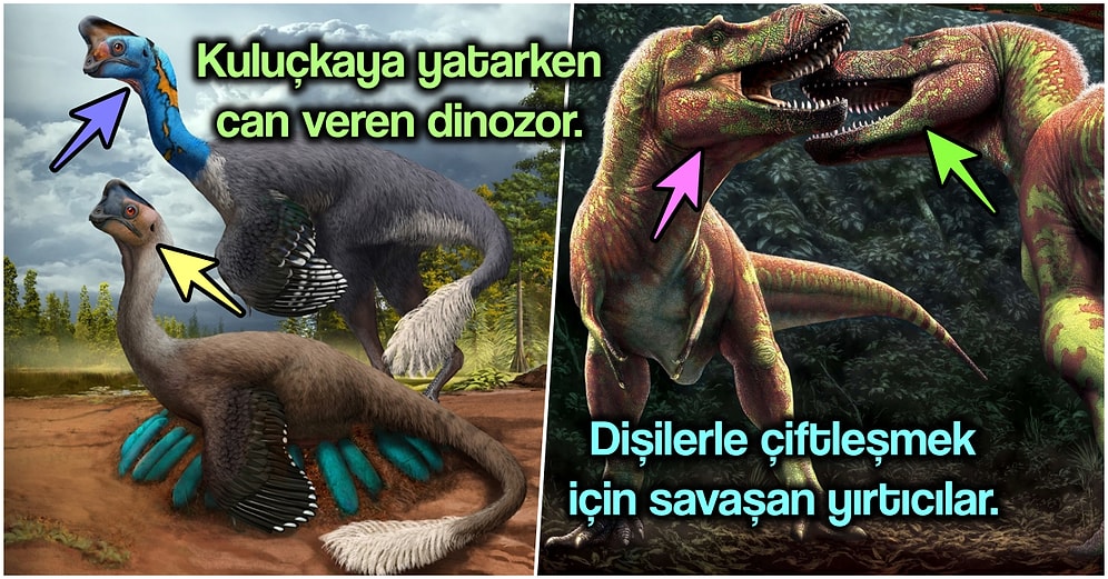 2021’de Dinozorlarla İlgili Yapılan En İlginç ve Büyüleyici Keşifler