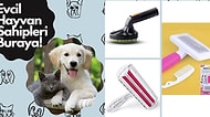 Evcil Hayvanları Olanlar Buraya! En İyi Tüy Toplayan Ürünler
