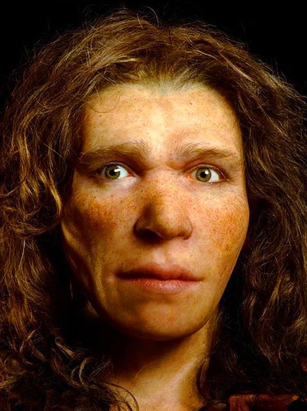 6. Neandertaller'in Homo Sapienler'den zeka olarak düşük olduğunu gösteren herhangi bir kanıt yok.