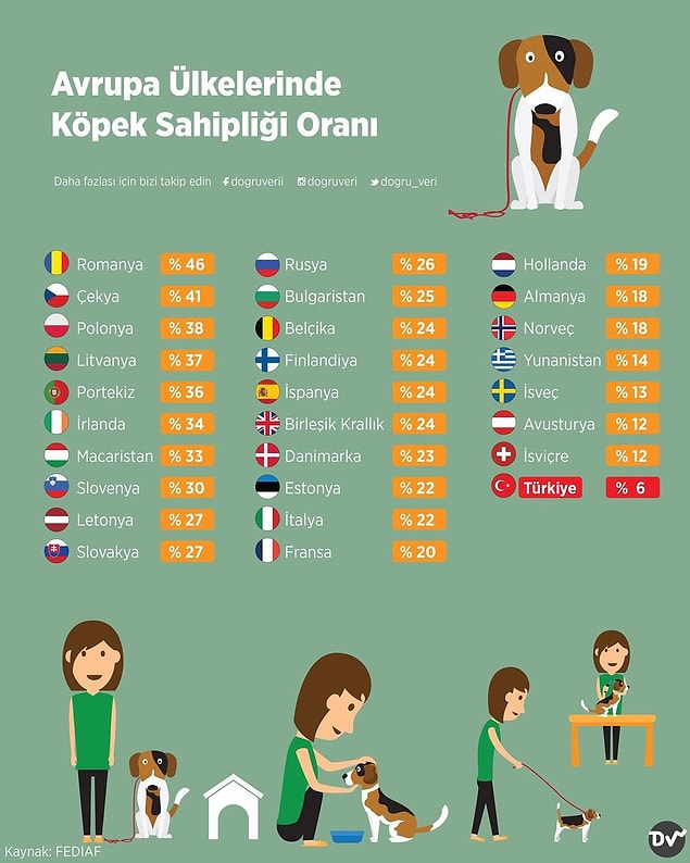 8. Avrupa Ülkelerinde Köpek Sahipliği Oranı