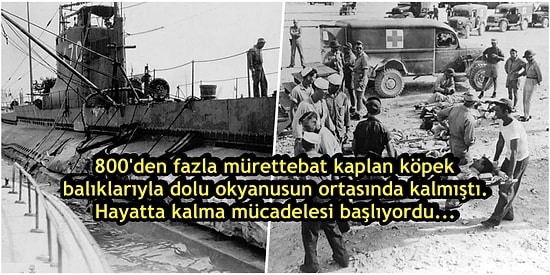 Okyanusa Gömülürken Köpek Balıkları Tam 800 Mürettebatını Parçalayan Gemi USS Indianapolis