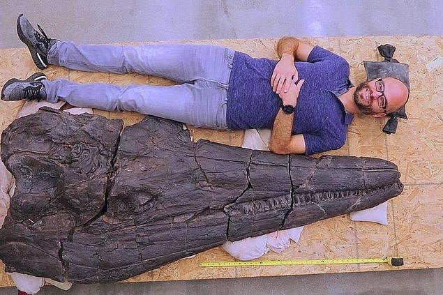 3. Paleontologlar yalnızca kafatasının uzunluğu iki metreye ulaşan bir 'deniz canavarının' kalıntılarını keşfetti.