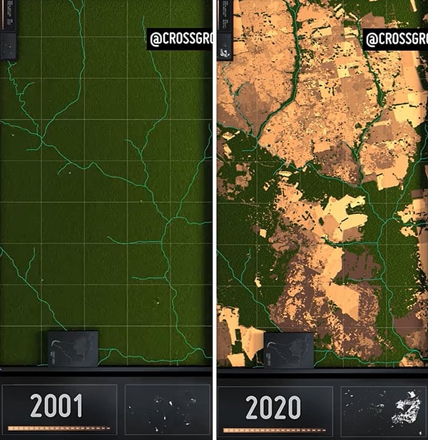 11. 20 лет обезлесения в Амазонке