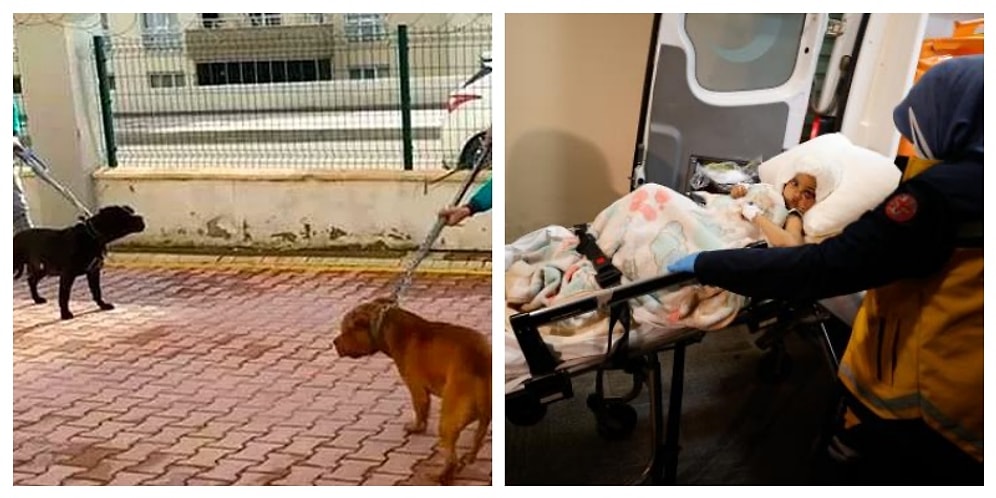 Minik Asiye'ye Pitbull Saldırısının Görüntülerinin Bir Kısmı Silinmiş