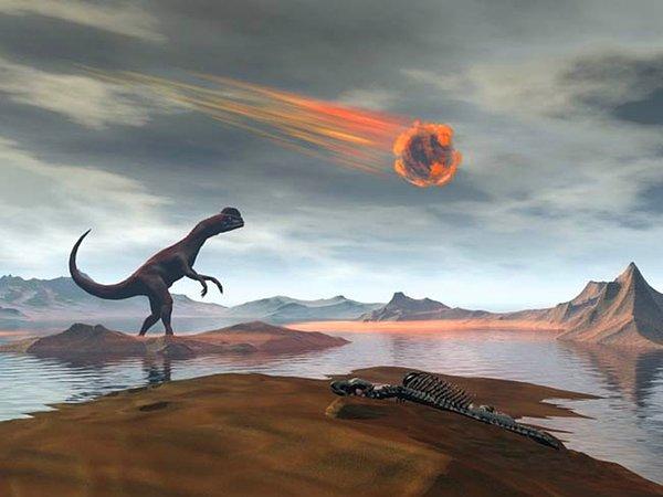66 milyon yıl önce Dünya'ya çarpan göktaşı pek çok türü yok etse de yanında çoğu çevresel felaketi de beraberinde getirdi.