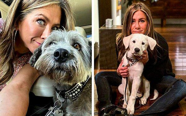 2. Jennifer Aniston, Clyde ve Lord Chesterfield