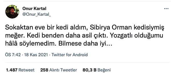 12. Yaptıkları Paylaşımlarla Kedilerin Dünyadaki En İlginç Canlılar Olduğunu Kanıtlayacak 15 Kişi