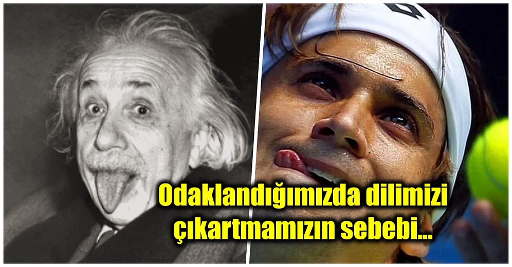 Bütün Dikkatimizi Bir İşe Verdiğimizde Farkında Olmadan Neden Dilimizi Çıkarttığımızı Açıkladık!
