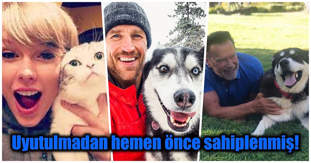 Evcil Hayvanlarını Sahiplenen veya Kurtaran ve Dünyayı Biraz Daha İyi Bir Yer Hale Getiren 17 Ünlü İsim