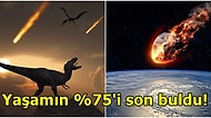 Bilim İnsanları 66 Milyon Yıl Önce Dinozorları Yok Eden Göktaşının 2 Yıl Boyunca Karanlık Yarattığını Açıkladı