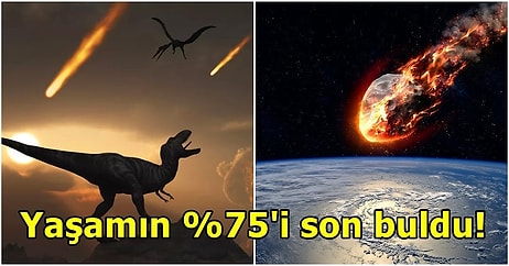 Bilim İnsanları 66 Milyon Yıl Önce Dinozorları Yok Eden Göktaşının 2 Yıl Boyunca Karanlık Yarattığını Açıkladı