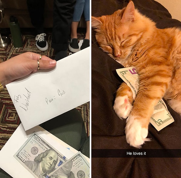 9. Папа не хотел, чтобы моя кошка чувствовала себя обделенной на Новый год