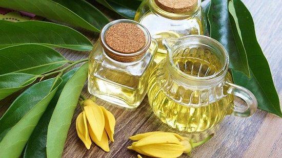 Ylang Ylang Yağının Faydaları Nelerdir? Ylang Ylang Yağı Ne İşe Yarar?