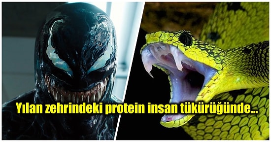İnsanların da En Az Zehirli Yılanlar Kadar Tehlikeli Olabileceğini Biliyor muydunuz?