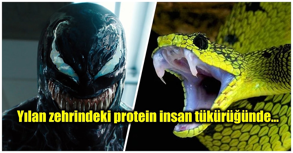 İnsanların da En Az Zehirli Yılanlar Kadar Tehlikeli Olabileceğini Biliyor muydunuz?