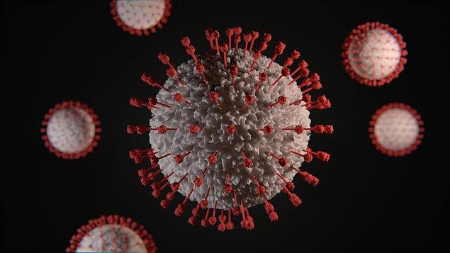 Grip virüsü iki yüzey antijeninden oluşur: Hemaglutinin ve nöraminidaz. Ve bunlar bağışıklık tepkisini tetiklerler.