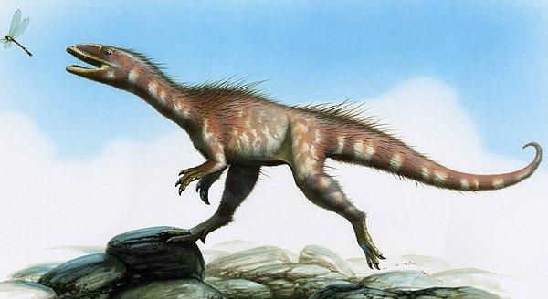 Dinozorların nesli bundan tam 66 milyon yıl önce devasa bir göktaşının Dünya'ya çarpması sonucunda son bulsa da bu türe dair pek çok kalıntı günümüzde hala bulunabiliyor.