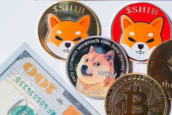 Dogecoin ve Shiba Inu, ilk 10 kripto para birimi listesinden çıkarıldı.