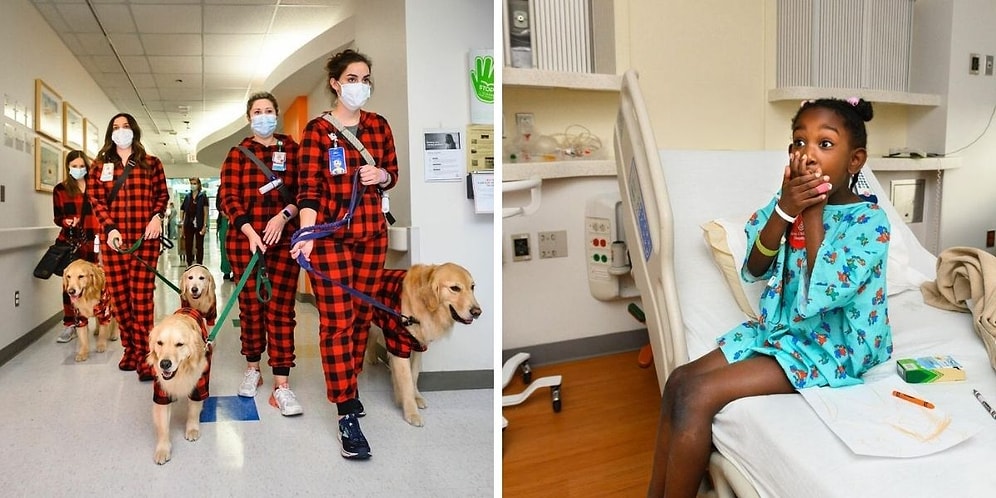 Четыре золотистых ретривера радовали больных детей, которым пришлось провести Рождество в больнице