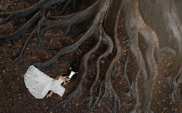 11. С высоты: Ки Луу