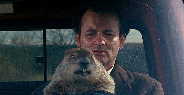 5. Groundhog Day (1993)