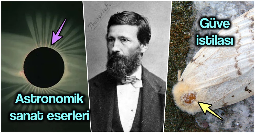 Hem Astrofotoğrafçılığa Esin Kaynağı Olan Hem de Bir Ekosistemin Kaderini Çizen Sanatçı: Étienne Trouvelot