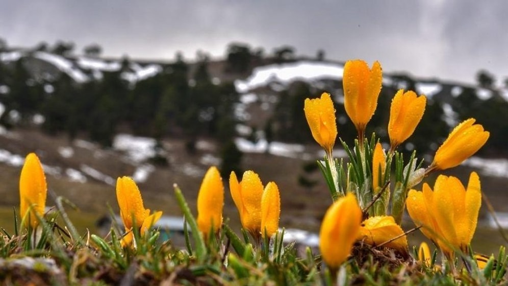İlk Cemre Ne Zaman Düşecek? 2022 Yılında İlk Cemre Düşme Tarihi