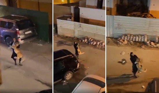 Evden Kaçan Aslanı Yakalayıp Eve Götürmeye Çalışan Kadın ve Eve Geri Dönmemek İçin Çabalayan Aslan