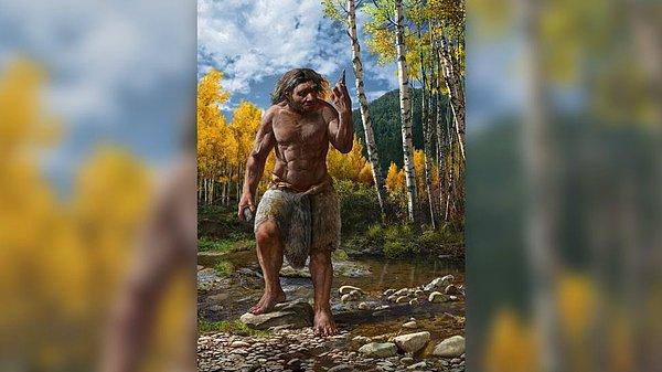 2. Homo longi, Neandertallerden daha yakın akrabamız olabilir.