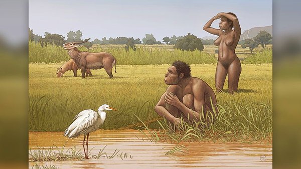 4. Doğrudan bir insan atası olan Homo bodoensis'in keşfi.