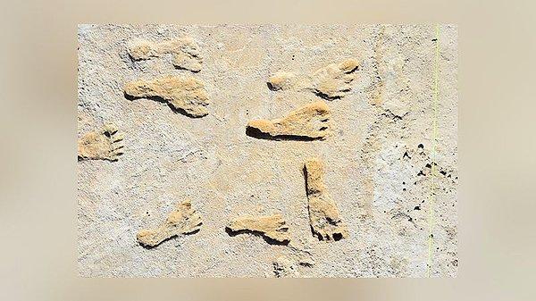 8. Amerika'da bulunan en eski fosilleşmiş ayak izleri.