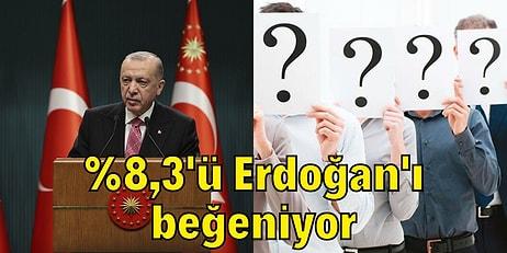 Seçmenin Dörtte Birini Oluşturan Kararsız Vatandaşlar Cumhurbaşkanı Erdoğan Hakkında Ne Düşünüyor?