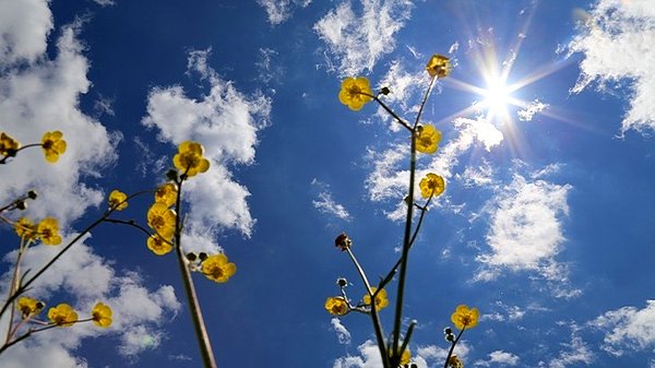 Yurt Genelinde Hava Sıcaklıkları Mevsimin Sıcaklıklarının Üzerinde!