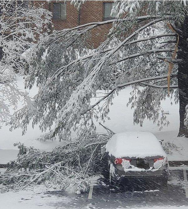 14. "Komşum arabası çok kar olmasın diye ağacın altına park etmiş."