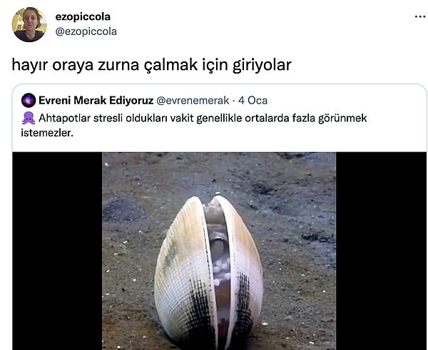 6. Güzel gönderme...