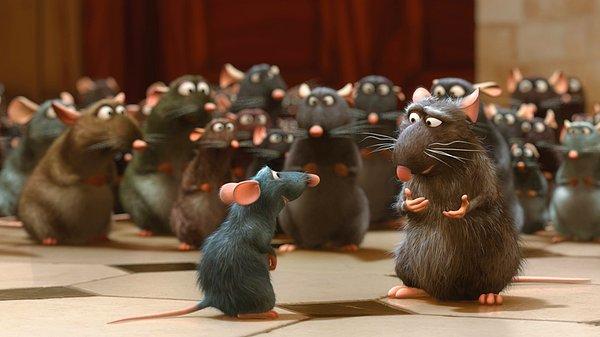 10. Ratatouille'de bir sürü fare olduğunu biliyoruz.