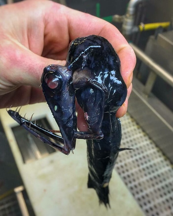 15. «Правильный угол важнее всего»