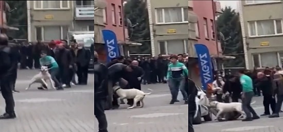 Malatya'da Kavga Eden Gruplardan Biri, Karşı Tarafa Yanlarında Getirdikleri Köpekleri ile Saldırdı