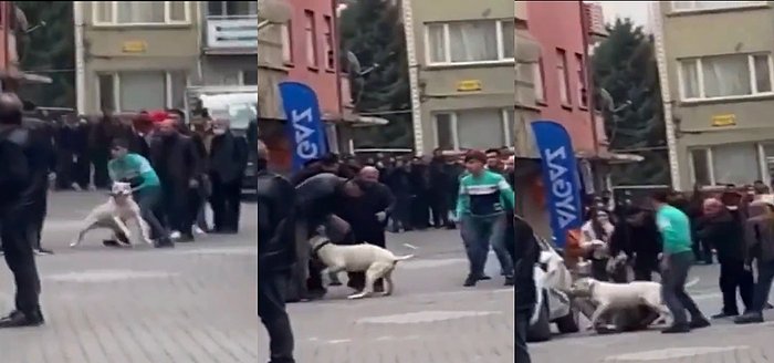 Malatya'da Kavga Eden Gruplardan Biri, Karşı Tarafa Yanlarında Getirdikleri Köpekleri ile Saldırdı