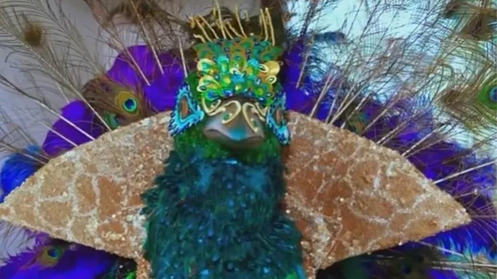 Maske Kimsin Sen "Tavus Kuşu" Kim? "Tavus Kuşu" Hayat Bilgisi Oyuncusu mu?