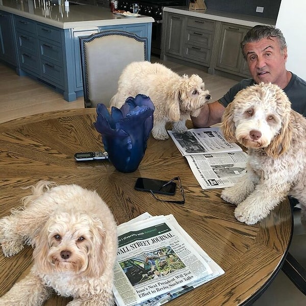 6. Сильвестр Сталлоне