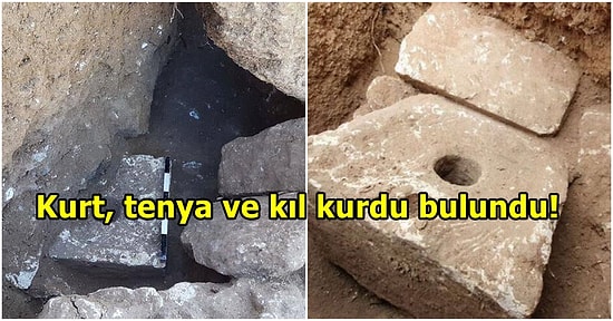 Zamanın Ultra Lüks Tuvaletiydi! Araştırmacılar, 2700 Yıllık Tuvalette Parazit Enfeksiyonları Keşfetti