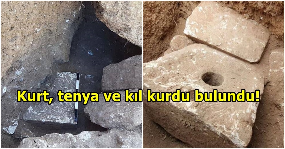 Zamanın Ultra Lüks Tuvaletiydi! Araştırmacılar, 2700 Yıllık Tuvalette Parazit Enfeksiyonları Keşfetti