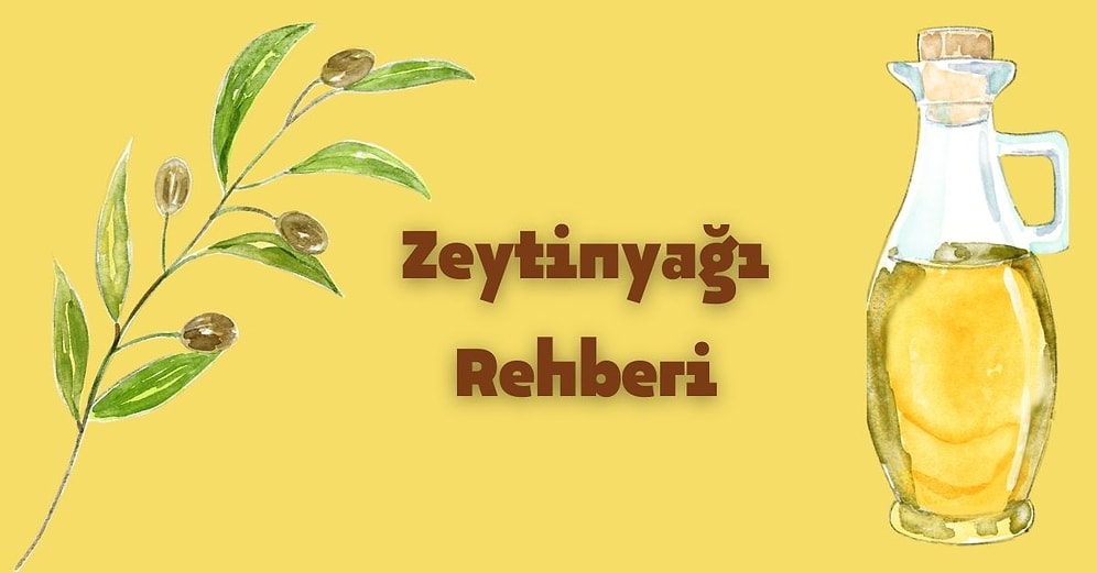 Zeytinyağı Alırken Neye Göre Seçeceğini Bilmeyenlerin Mutlaka Dikkat Etmesi Gereken Önemli Bilgiler
