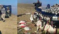 Hizbullah Militanları Suriye Ebu Zuhur Kuş Cenneti'nde Çoğu Endemik Tür Olarak Geçen Yüzlerce Kuşu Katlettiler
