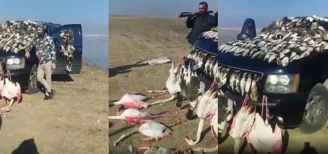 Hizbullah Militanları Suriye Ebu Zuhur Kuş Cenneti'nde Çoğu Endemik Tür Olarak Geçen Yüzlerce Kuşu Katlettiler