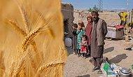 Taliban, 'Buğdayla Maaş Ödeme' Programının Tüm Ülkede Uygulanacağını Duyurdu