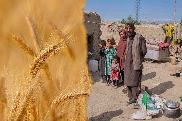 Taliban, 'Buğdayla Maaş Ödeme' Programının Tüm Ülkede Uygulanacağını Duyurdu